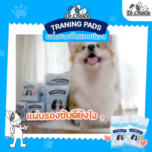 ด๊อกเตอร์ช๊อยส์แผ่นรองซับ Sumitomo Technology ซึมซับไว เก็บกลิ่นได้ ยับยั้งเชื้อแบคทีเรีย (10-50แผ่น)