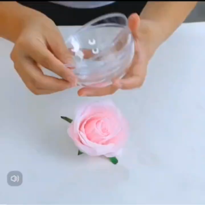 บอลกลมใส บอลใส่เงิน บอลใส่ตุ๊กตา บอลใส่ของขวัญ Ball Box บอลเซอร์ไพรส์ DIY (ไม่มีตุ๊กตา)