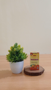 Temulawak TAZAKKA 1 botol isi 60 kapsul | POM ORIGINAL | Membantu memelihara kesehatan fungsi hati