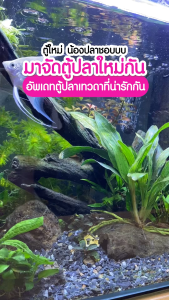 🌊Set น้ำใส+เลี้ยงแบคทีเรียดี♻️Deep BioTech (Ultra Clear + BAC Basic + Boost BAC) เซ็ต 3 กระปุก