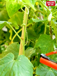 Lốc 20 cuộn dây buộc chanh dây Dương Ninh băng buộc cành phụ kiện cho dụng cụ buộc cành tự động CD01