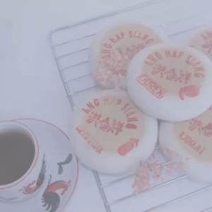 Kue Bulan Ang Hap Siang Mooncake Tiong Jiu Phia Kue Roda Halal