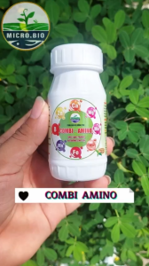 Combi Amino phân bón lá trung vi lượng siêu dinh dưỡng tăng trưởng cho cây trồng và hoa lan chai 100ml