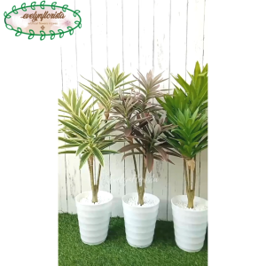 Pohon Hias Imitasi Pandan Bali X3 Mini Semilatex Pot Ulir Lovenia Dekorasi Rumah Ruang Tamu Aesthetic