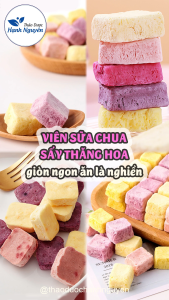 100g Viên sữa chua sấy thăng hoa vị trái cây và tổng hợp 20 loại trái cây tùy chọn - Thảo Dược Hạnh Nguyên