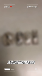 2 Pcs Roda Pintu Bawah Sliding Guide Logam Roda Pintu Geser Bawah Untuk Roda Sliding Door