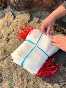 Fruit Protect Net Bag 25 CM X 15 CM Garden Plant Mesh Anti Insect Vegetable Storage Bag Kebun Beg Buah Pest Insect