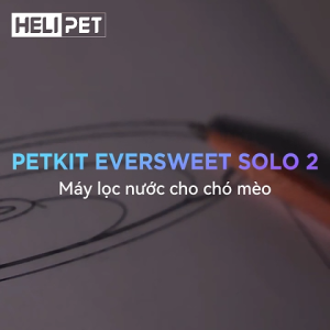 Máy Lọc Nước Cho Chó Mèo Petkit Eversweet Solo 2 Bơm Không Dây Kết Nối App