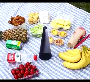 Kipas Pengusir Lalat & Pengusir Nyamuk: Protector Makanan Meja