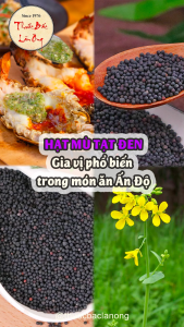 Hạt mù tạt đen 1kg mù tạt Ấn Độ nguyên hạt cay thơm gia vị sốt chấm tăng hương vị cho món ăn