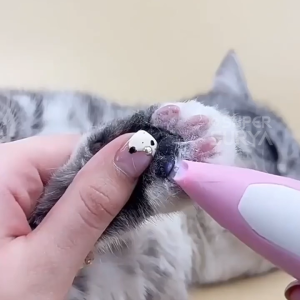 Pet Trimmer Paw Alat Cukur Kucing Anjing LED Mini Clipper Grooming