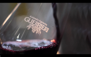 Azienda Agraria Guerrieri Guerriero della Terra 2020 Italy Marche Sangiovese Red Wine 750ml 15%