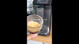 Máy pha cà phê tự động dùng cho quán cà phê nhà hàng và khách sạn HiBREW H16