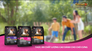 3KG Thức Ăn Hạt Khô Ganador  Đồ Ăn Cho Chó Con/Chó Lớn Cừu  Trứng Sữa  Cá Hồi  Sữa DHA  FIBS  KEOS  Đủ mùi vị