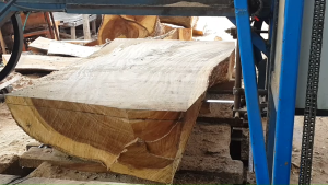 ใบเลื่อยสายพานตัดไม้ 3600x34x1.25 hi speed m42 bimetal ระยะห่างระหว่างปลายฟัน 19 มิล