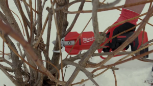 Milwaukee M12 BLPRS Fuel Brushless Pruning Shear / Milwaukee Shear Cutter / 2 Year Warranty