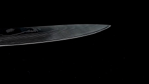 Essential Kitchen Knives: Boning, Santoku, & Paring