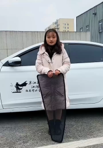 BYD Magnetic Sunshade ATTO 3 DOLPHIN aksesori kereta sun shade