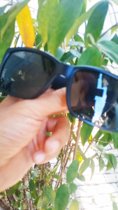 Kacamata Polarized Berkualitas Tinggi & Desain Stylish