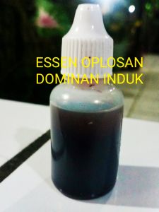 Essen induk ikan mas