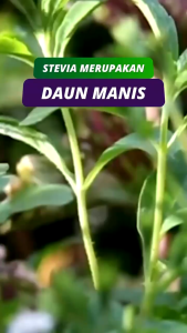 Ferswit Stevia Tetes Gula Alami 15 ML: Solusi Pengganti Gula Alami untuk Diabetes