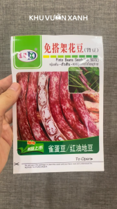Hạt giống Đậu trứng rồng (Đậu cúc Đậu huyết rồng) Pinto beans Gói 5gr khoảng 10 hạt - Nội địa Trung