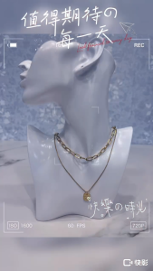 titanium steel necklace