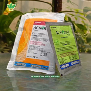 Acrobat 50 WP - Terbukti 25 Tahun Ampuh Atasi Busuk Daun