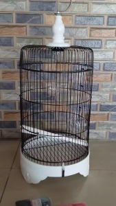 KRODONG KERODONG EKONOMIS MURAH BURUNG PLECI SANGKAR KANDANG HELOPED TANGGUNG BESI BULAT DIAMETER 27 CM
