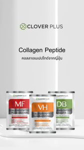 Clover Plus MF Collagen Peptide Plus Calcium คอลลลาเจน เปปไทด์ ผสม แคลเซียม 1 กล่อง (7 ซอง)