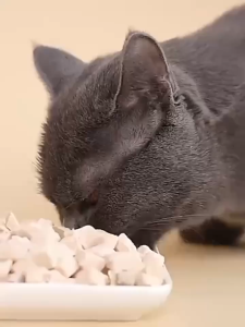 Cat Treat Pet Snacks Pure Chicken Treats Freeze Dried Meat 30g Cat Snack Cat Food Pet Treat