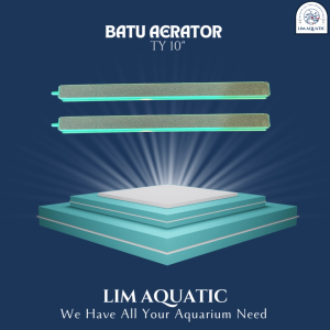 AIR STONE TY 10" / BATU AERATOR 25 CM / BATU GELEMBUNG UDARA