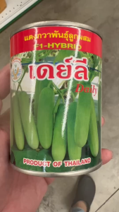 แตงกวา เดย์ลี ขนาด 100 กรัม หมดอายุ 3/70 ลอตใหม่ งอกดี ผลสีเขียวเข้ม ขึ้นค้างเก่ง ผลดกสวย เนื้อหนา หวานกรอบ ผลยาว 12-14 ซม. อายุ 30-32 วัน npkplant