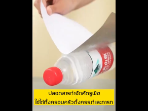 【รุ่นอัพเกรด】กาวดักแมลงวัน120แผ่น ไล่แมลงวัน ใช้งานง่าย กาวแน่น กาวเต็มแผ่น ที่ดักแมลงวัน กระดาษแผ่นกาวดักแมลง กับดักแมลงวัน กาวติดแมลงวัน กาวดักแมลงวันทอง กาวเยอะ มีสารล่อแมลง
