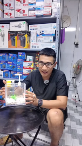 Combo Bể Cá Mini Mica Gồm (Bể Lọc Đèn Phụ Kiện Trang Trí) ( D15cm x R15cm x C12cm)