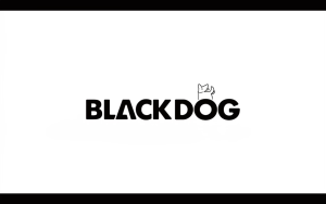 BLACKDOG Insulated Drinking Water Bottle Thermos