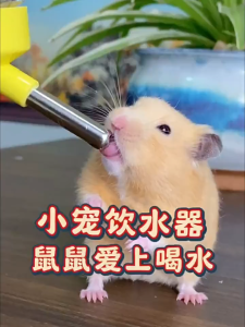 ขวดน้ำแฮมเตอร์ 250ml ที่ให้น้ำกระต่าย กระรอก หนู นกแก้ว แบบติดกรง อัตโนมัติ ภาชนะสามารถถอดล้างได้ ทำความสะอาดง่าย