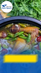 Gia vị nấu gà tiềm ớt hiểm 100g thơm ngon và tiện dụng nấu lẩu hầm gà chim - Thảo Dược Hạnh Nguyên