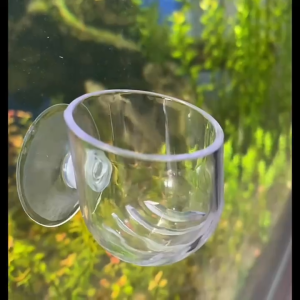 Cốc cho cá ăn trùn chỉ trồng cây bằng Acrylic cho hồ thủy sinh cá cảnh