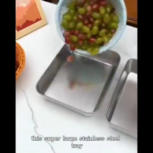 Stainless Steel Food Storage Trays With Plastic Lid Prepare Food Freshness Preservation Box for Meat Vegetable Fruit