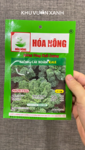 Hạt giống rau Cải Kale - Gói 2gr - Tỷ lệ nảy mầm >90% - Trồng quanh năm - Thu hoạch sau 70-80 ngày