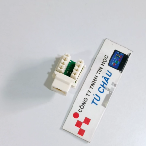 Đầu âm tường RJ45 Cat 5e 8 Line / Ruột đầu mạng RJ45 Cat 5 AMP