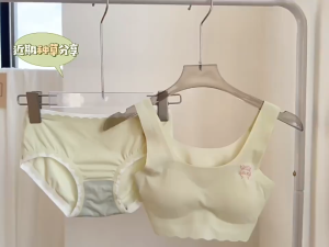 🔥🔥ชุดชั้นในเด็ก ชุดชั้นในเด็กโต เซ็ต 2 ชิ้น ( เสื้อชั้นใน+กางเกงใน )