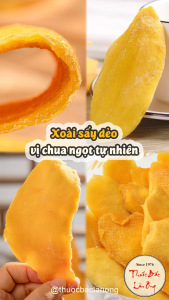 1kg Xoài sấy dẻo không đường - Lãn Ông