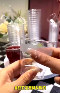 20Pcs/Pack Aviation Crystal Hard Plastic Cup Reusable Drinking Cup 200ML