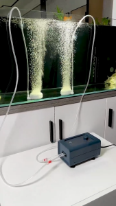 วาล์วกันย้อน check valve วาล์วกันน้ำย้อนกลับ วาล์วกันย้อนพลาสติก แบบใส แบบสีฟ้า อุปกรณ์ตู้ปลา ใช้กับสาย 4mm