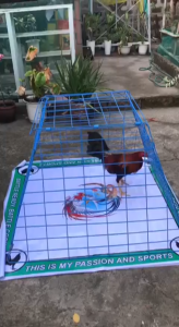 LIMBER MATTING FOR GAMEFOWL ROOSTER (4FTX4FT)