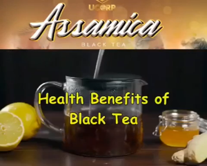 Assamica Black Tea Original by Ucorp /kidneycare /kidneystone /uti /gallstone /ckd /herbal tea - NPK