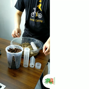 10pcs Plastic Extendable Plant Pole Cover for Plant DIY Moss Pole Sphagnum Pole Holder Coco Pole