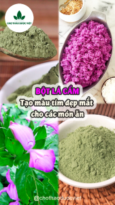 Bột lá cẩm tím sấy lạnh nguyên chất 500g ( Bột rau củ tạo màu thực phẩm dùng nấu xôi làm bánh) Chợ Thảo Dược Việt